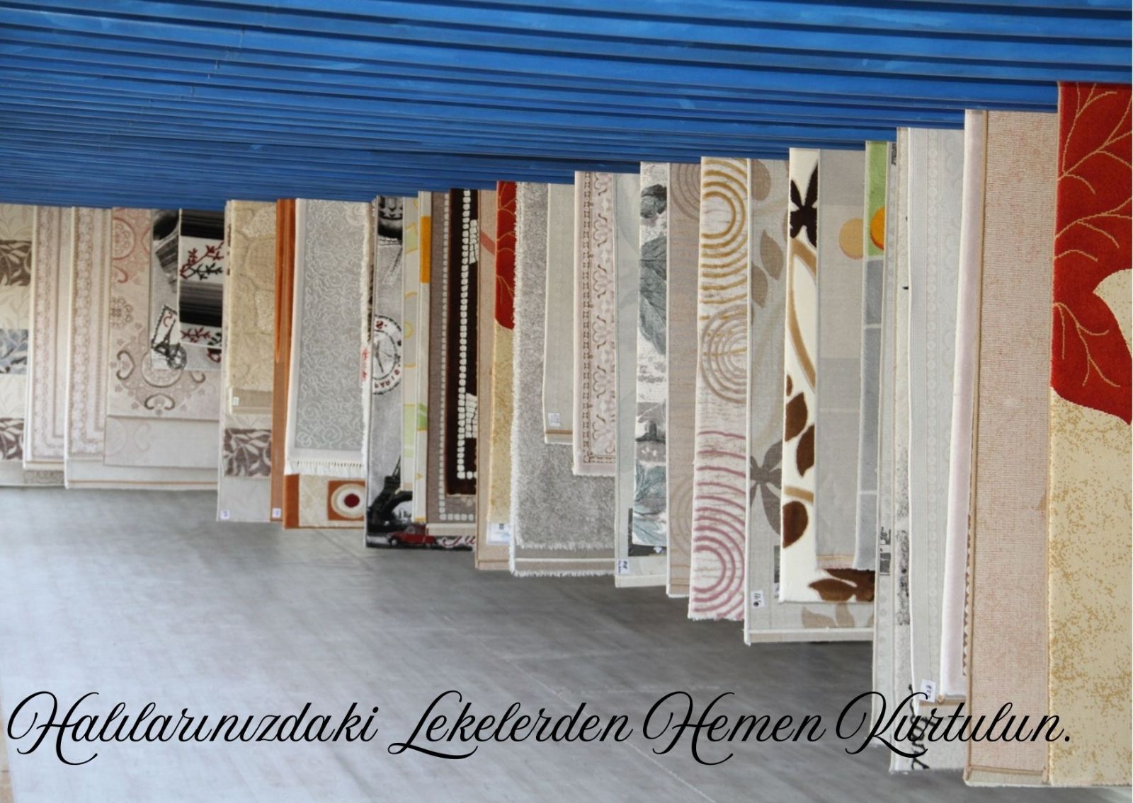 Gebze Halı Yıkama Kampanyaları